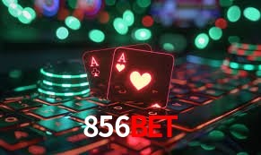 Experiência VIP 856bet