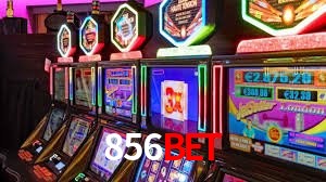 Crash Games Statistics 856bet