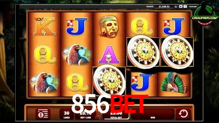 VIP Casino 856bet